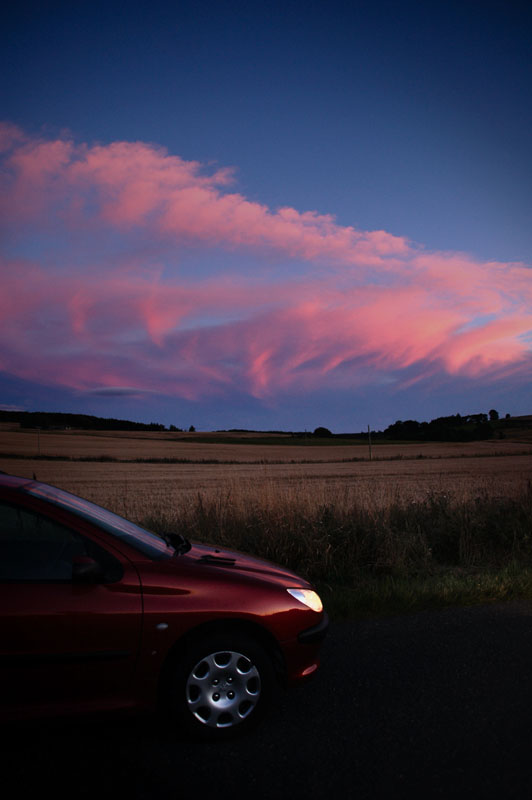 10th September 2010 <br> pink sky