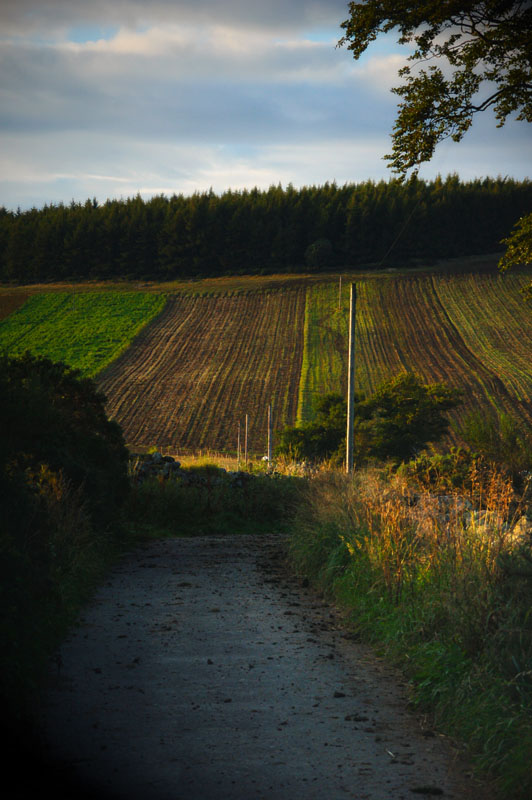 14th September 2010 <br> turning chilly