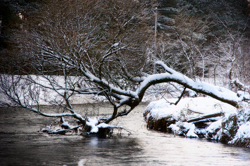 DSC_0001 copy.jpg