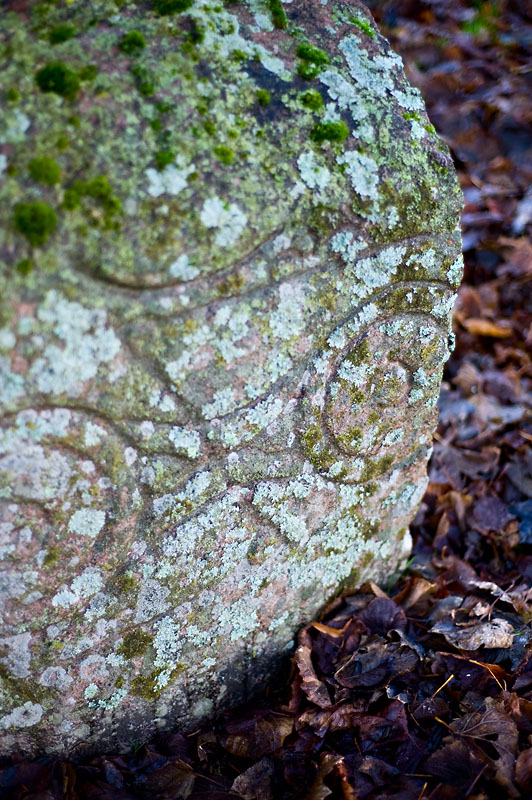 DSC_4131 copy.jpg