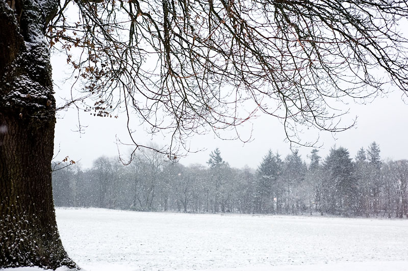 18th March 2013  spring snow