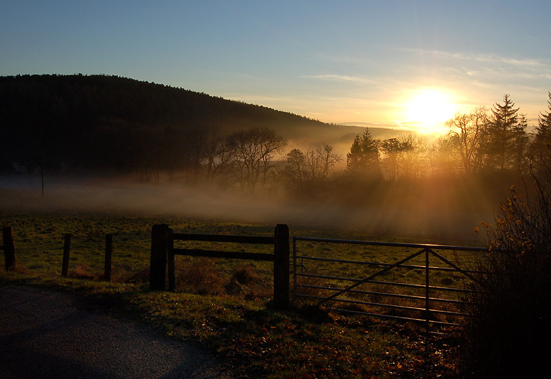 DSC_0066s.jpg