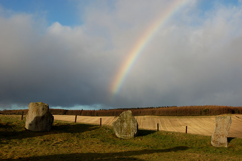 DSC_0035s.jpg