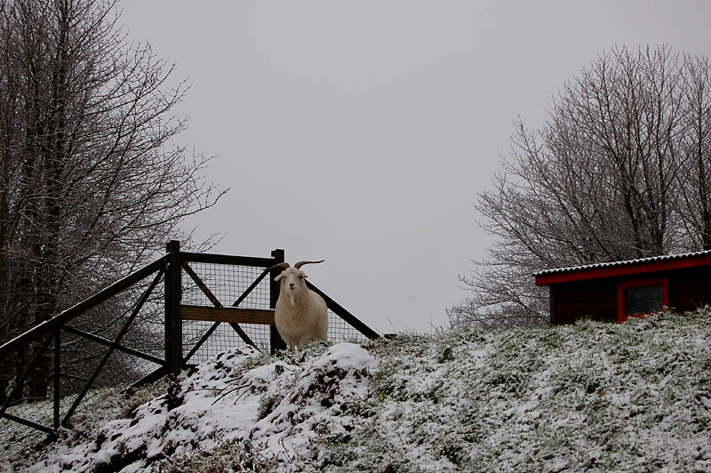 30th December 2005 woolly jumper