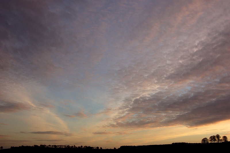 DSC_0028s.jpg