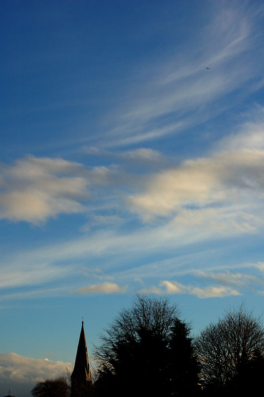 DSC_0000s.jpg