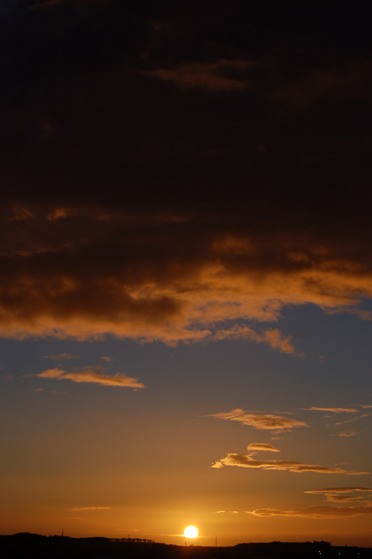 DSC_0004s.jpg