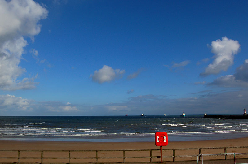 DSC_0029s.jpg