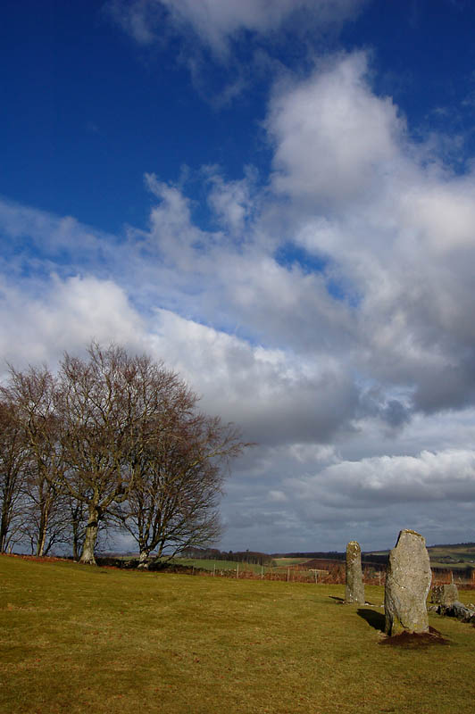 DSC_0030s.jpg