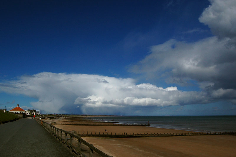DSC_0015s.jpg