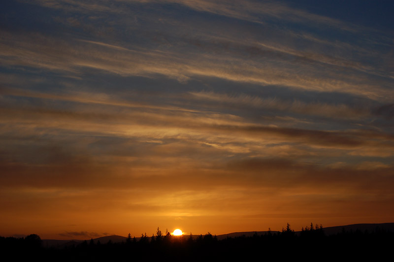DSC_0062s.jpg