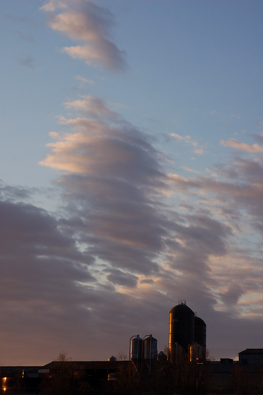 DSC_0107s.jpg