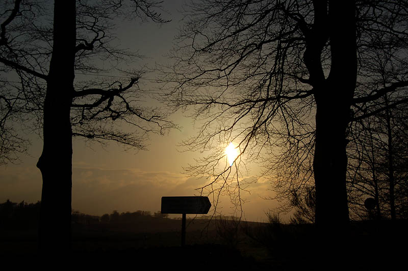 DSC_0003s.jpg