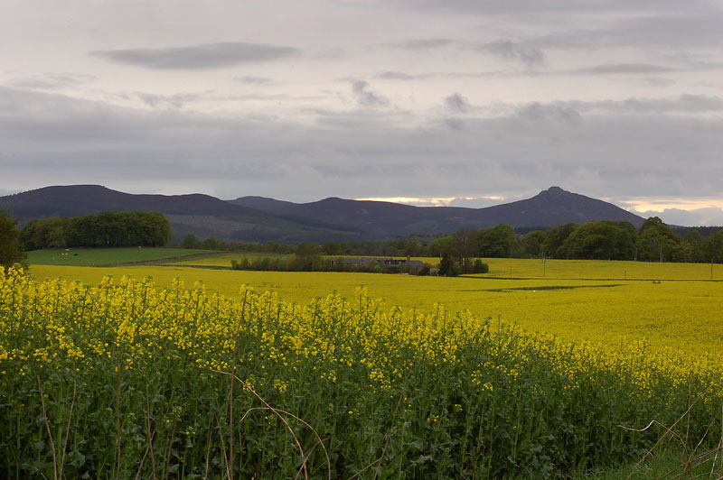 DSC_0013s2.jpg