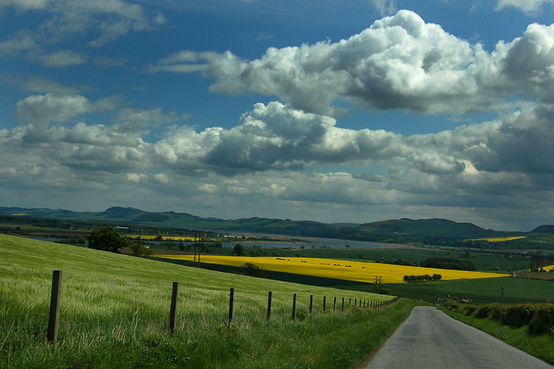 DSC_0096s.jpg