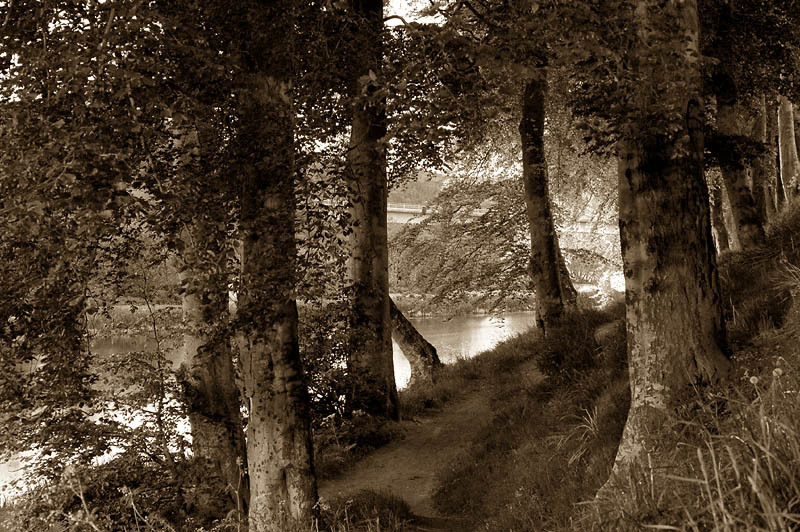 31st May 2006 <br> River Don