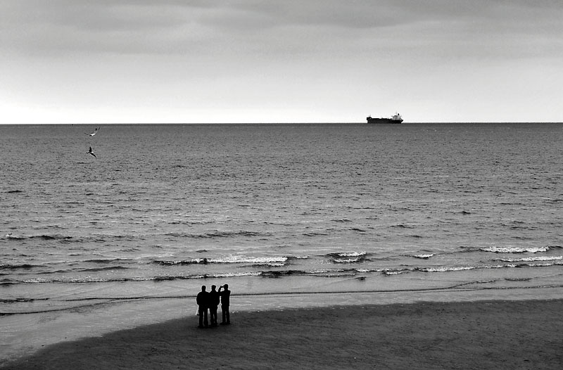3rd June 2006 <br> cruelty by the sea