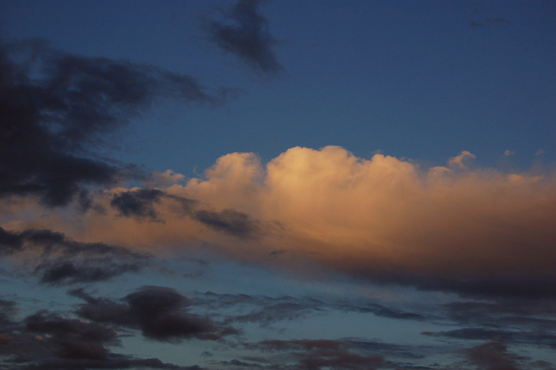 DSC_0074s.jpg