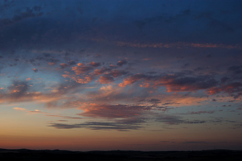 DSC_0064s.jpg