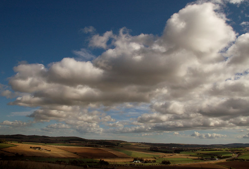 DSC_0022s.jpg