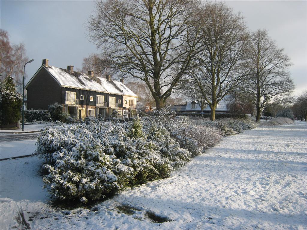 Snow, De Bilt, 25 march 2008