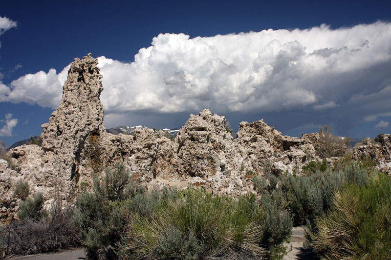 Mono Lake, California June 2009