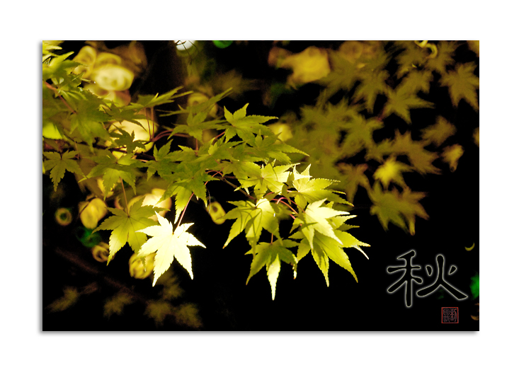 DSC_8973a.jpg