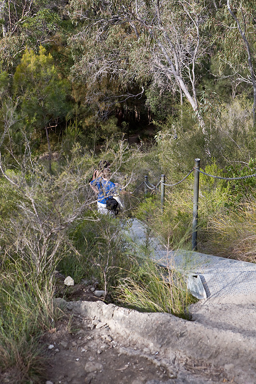 Mt. Cooroora