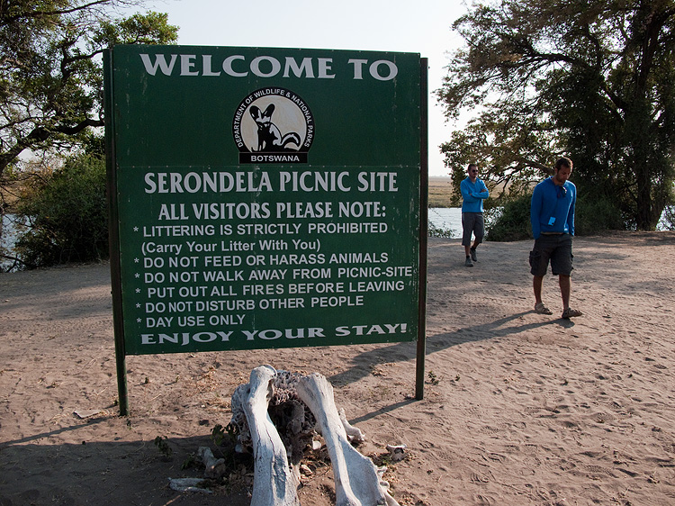 Lets have a picnic with lions