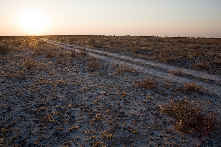 The road on Tau Pan