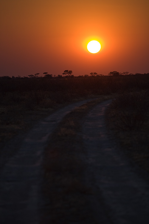 Kalahari Sunset
