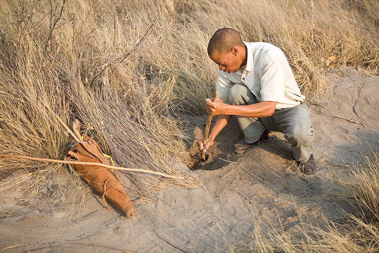 Custom digging for tubers
