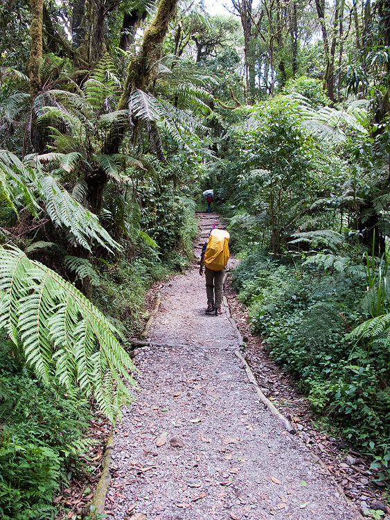 Eli on the trail