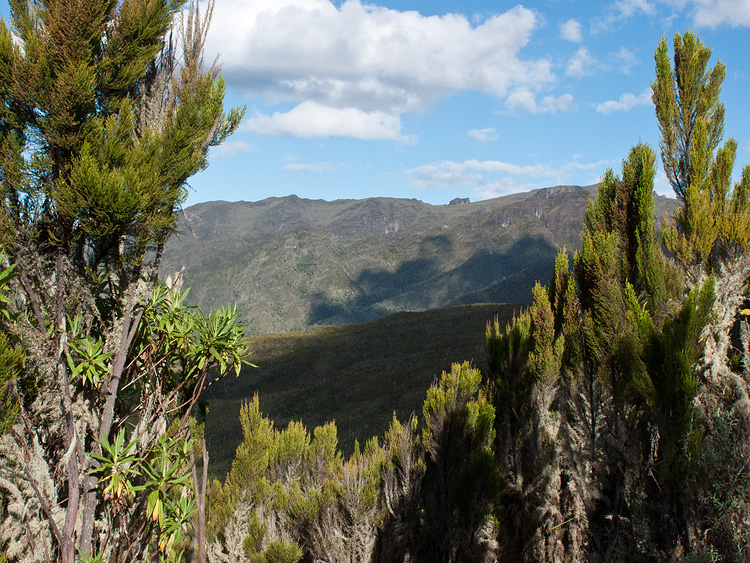 The view to the left