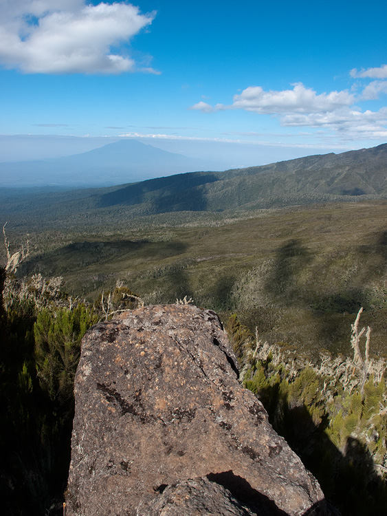 The view below