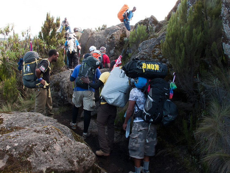 Porters