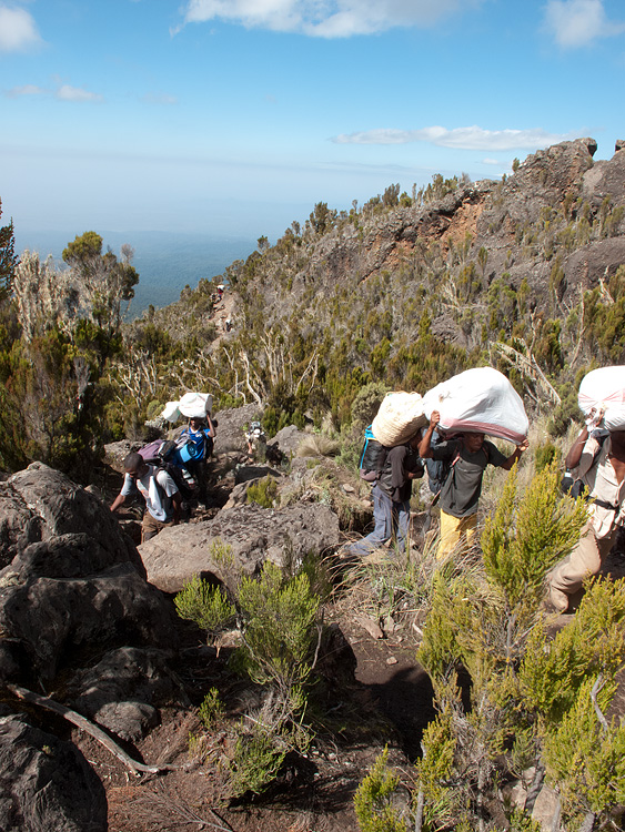 Porters doing it tough, but making it look easy.