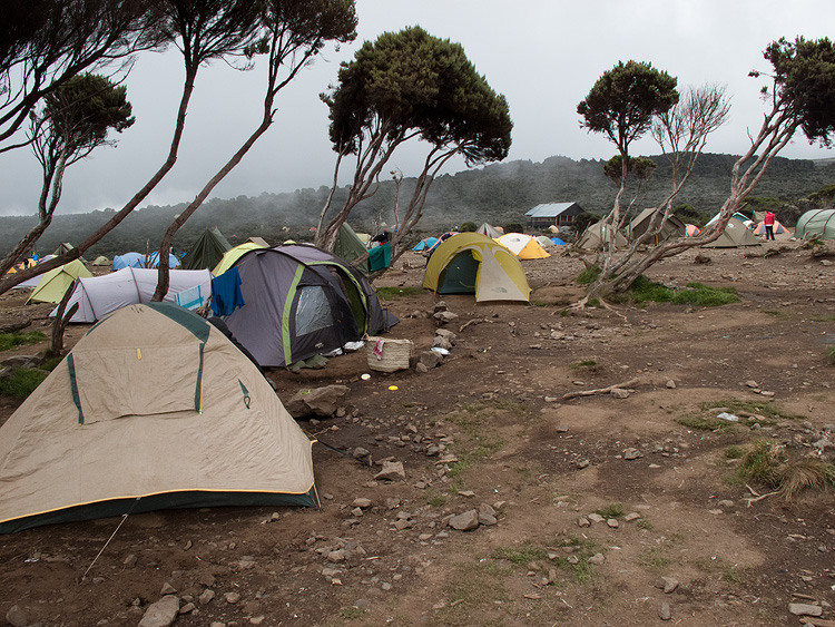 Shira Camp