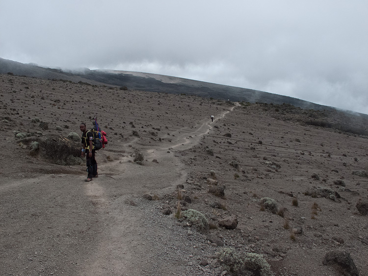 alpine desert