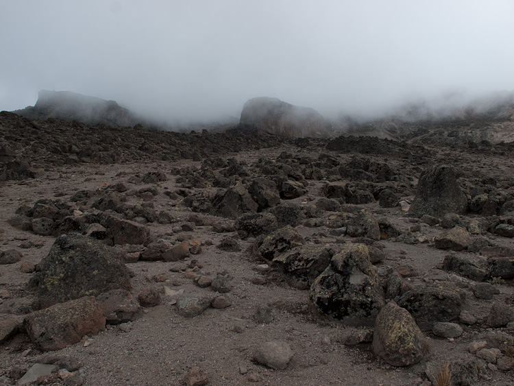 Alpine desert