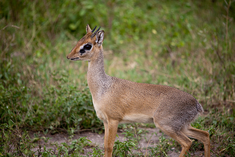 _MG_0284wp750.jpg
