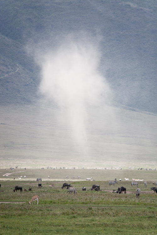Dust rising