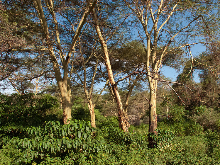 IMG_2886wp750.jpg