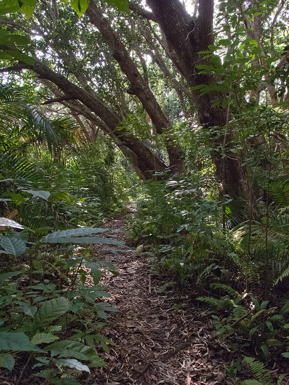 IMG_2920wp750.jpg