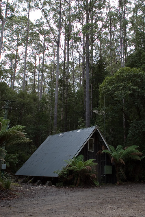 Rangers Hut at Hastings Caves