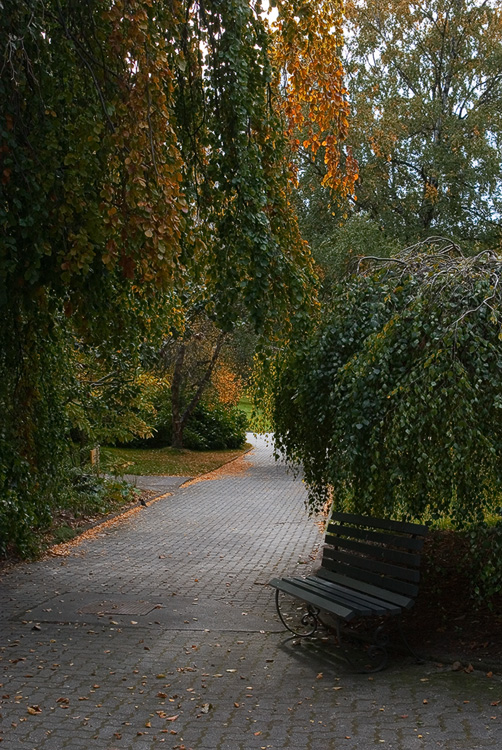 A place to rest