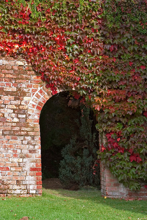 Arch