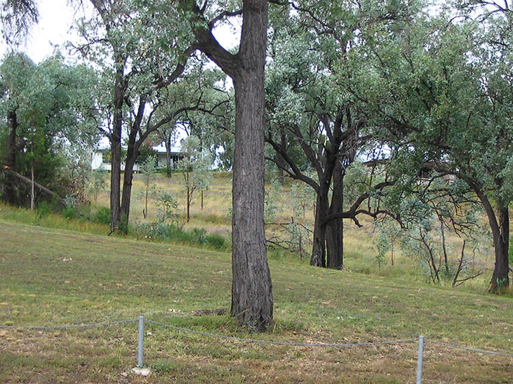 Stanthorpe to Tenterfield