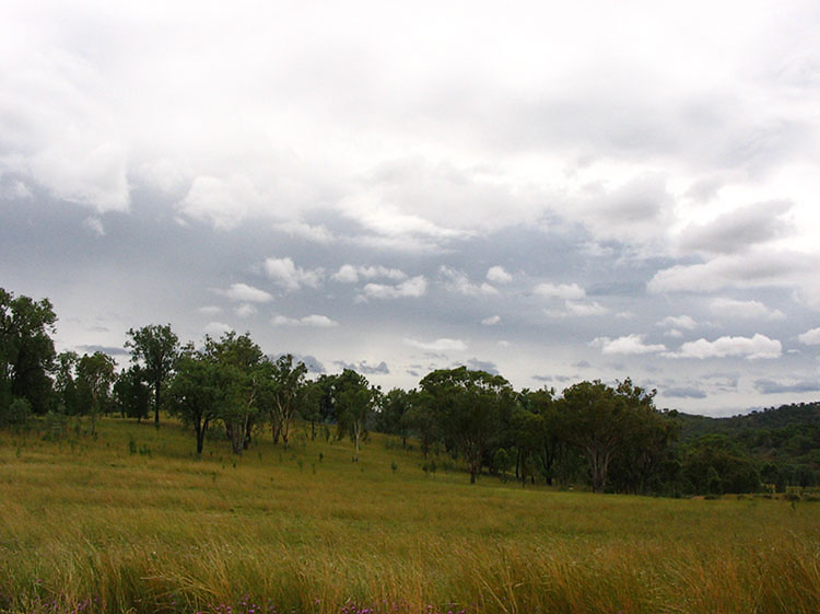 Stanthorpe to Tenterfield