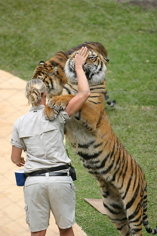 Oh give me a hug